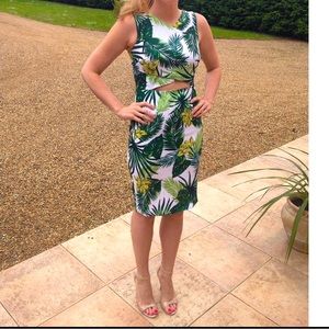 Definitions Dress, US 4, Palm Tree Print, Knee Length, Wedding Guest Dress.